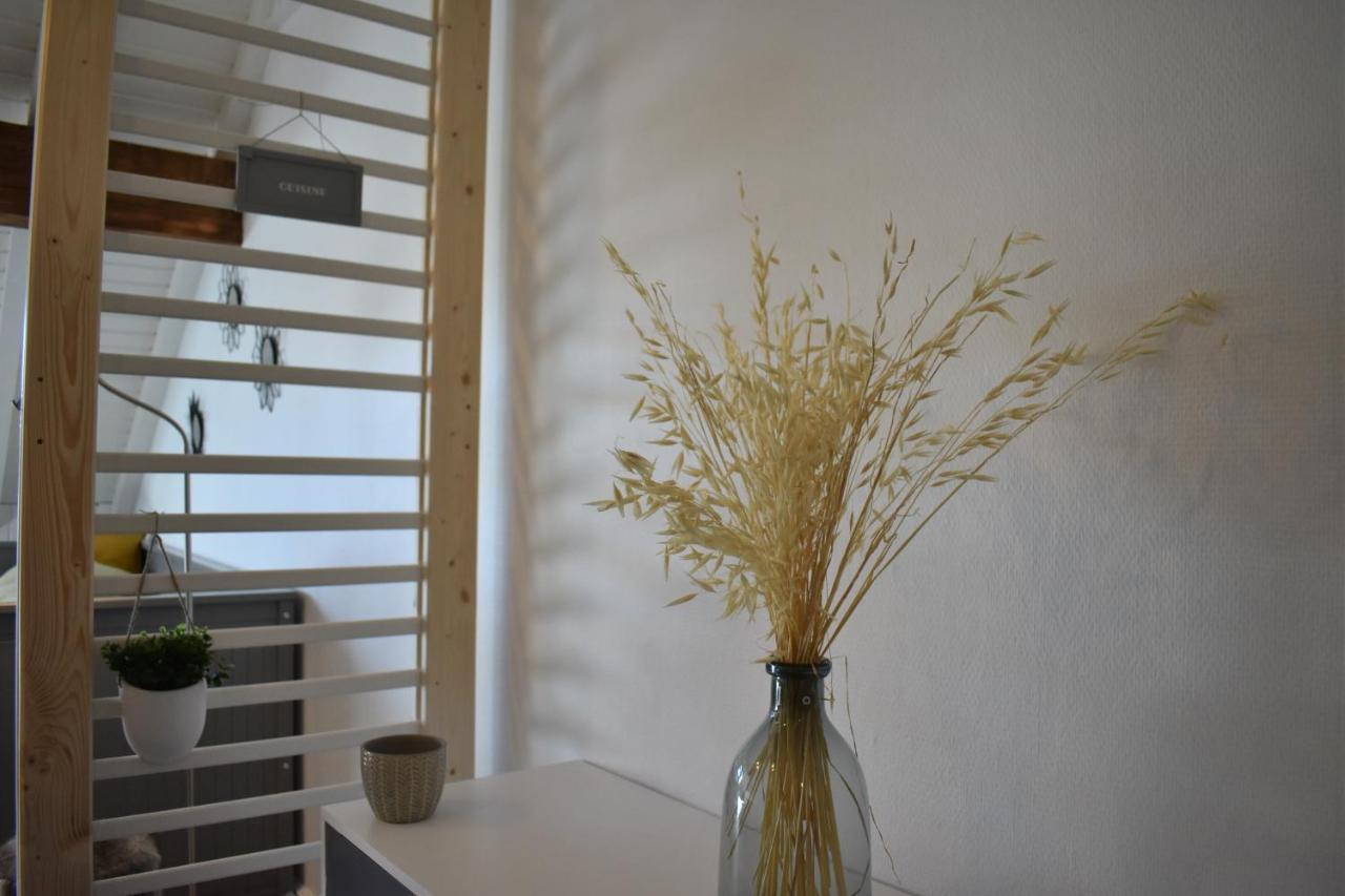 מוט Charmant Studio, Le Petit Gris Des Montagnes מראה חיצוני תמונה
